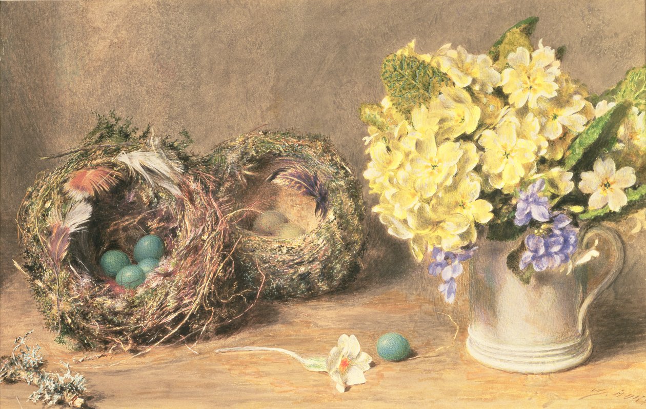 Vårblommor och fågelbon, ca 1830 (akvarell & kroppsfärg på papper) av William Henry Hunt