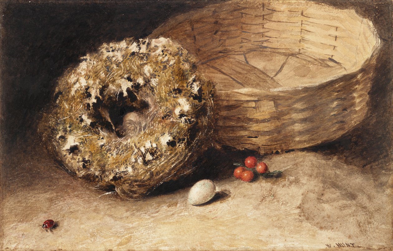 Stilleben med korg, bo, ägg, röda vinbär och nyckelpiga av William Henry Hunt