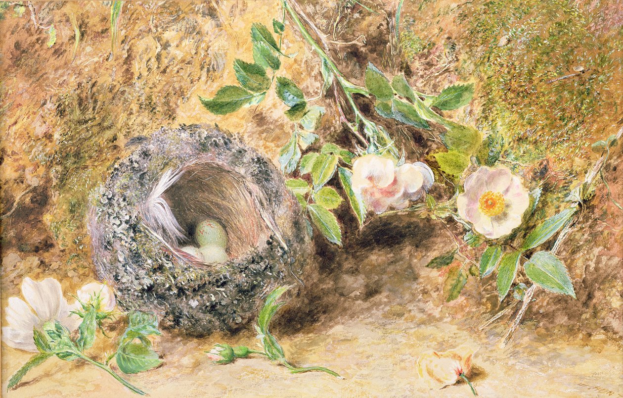 Stilleben med bo av bokfink av William Henry Hunt