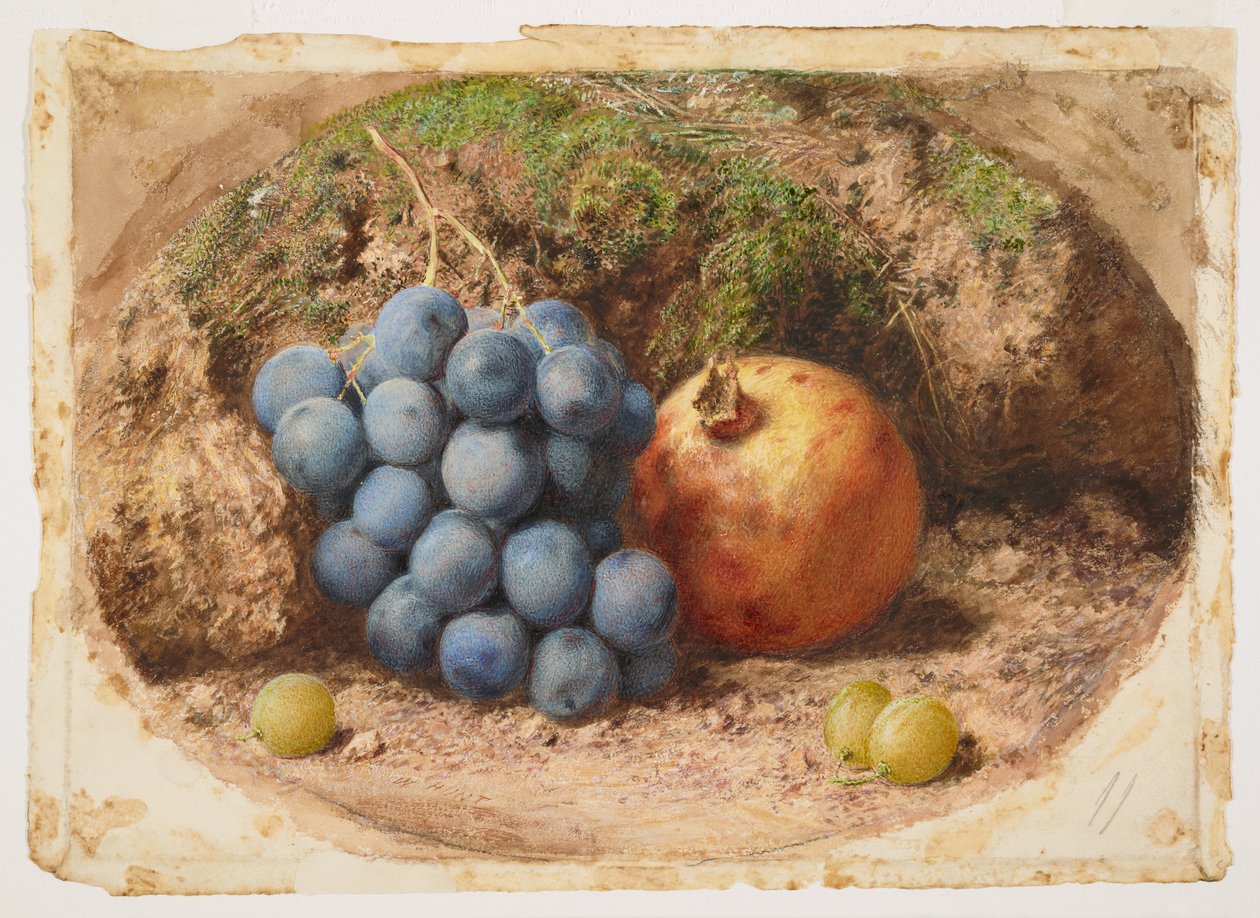 Stilleben med druvor och ett granatäpple av William Henry Hunt