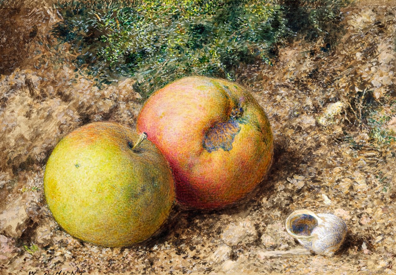 Stilleben med två äpplen och ett snigelskal av William Henry Hunt
