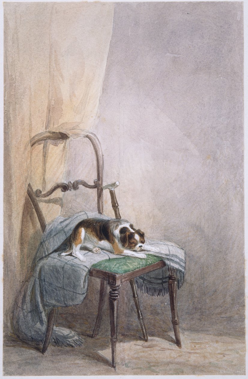 Studie av en hund på en stol (akvarell på papper) av William Henry Hunt