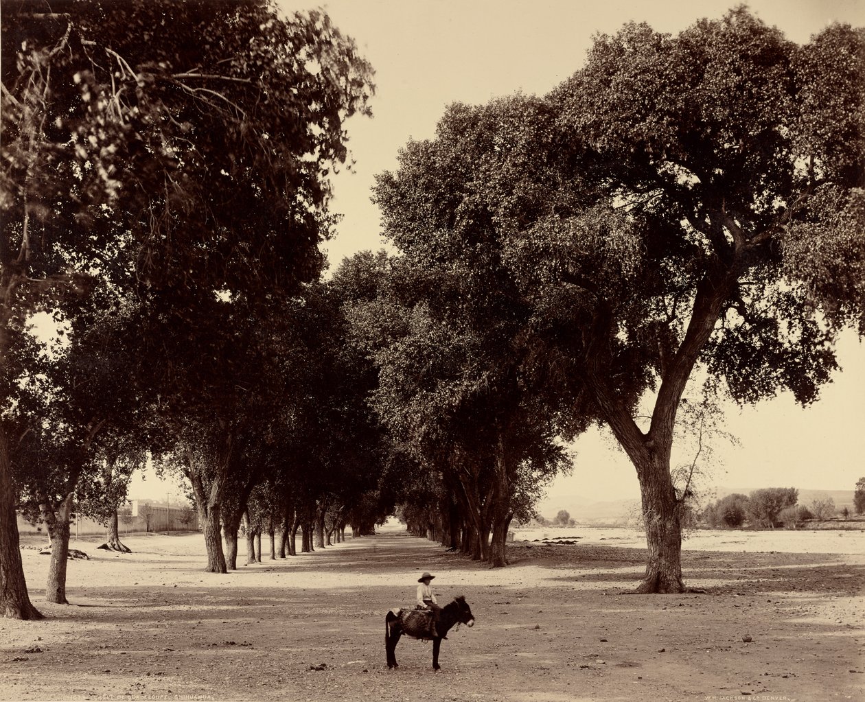 [Calle de Guadeloupe, Chihuahua, Mexiko] av William Henry Jackson