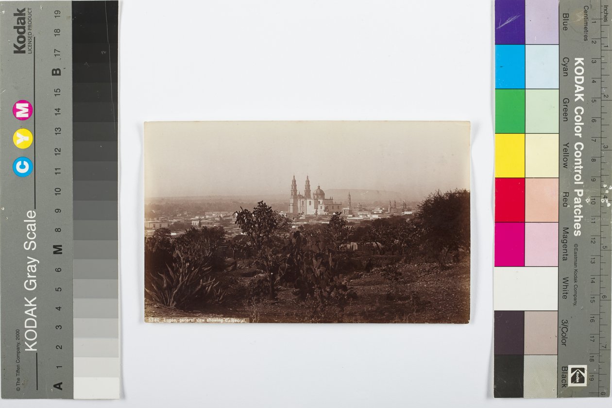 Lagos, allmän bild som visar katedralen, 1883-1884 (albumintryck) av William Henry Jackson