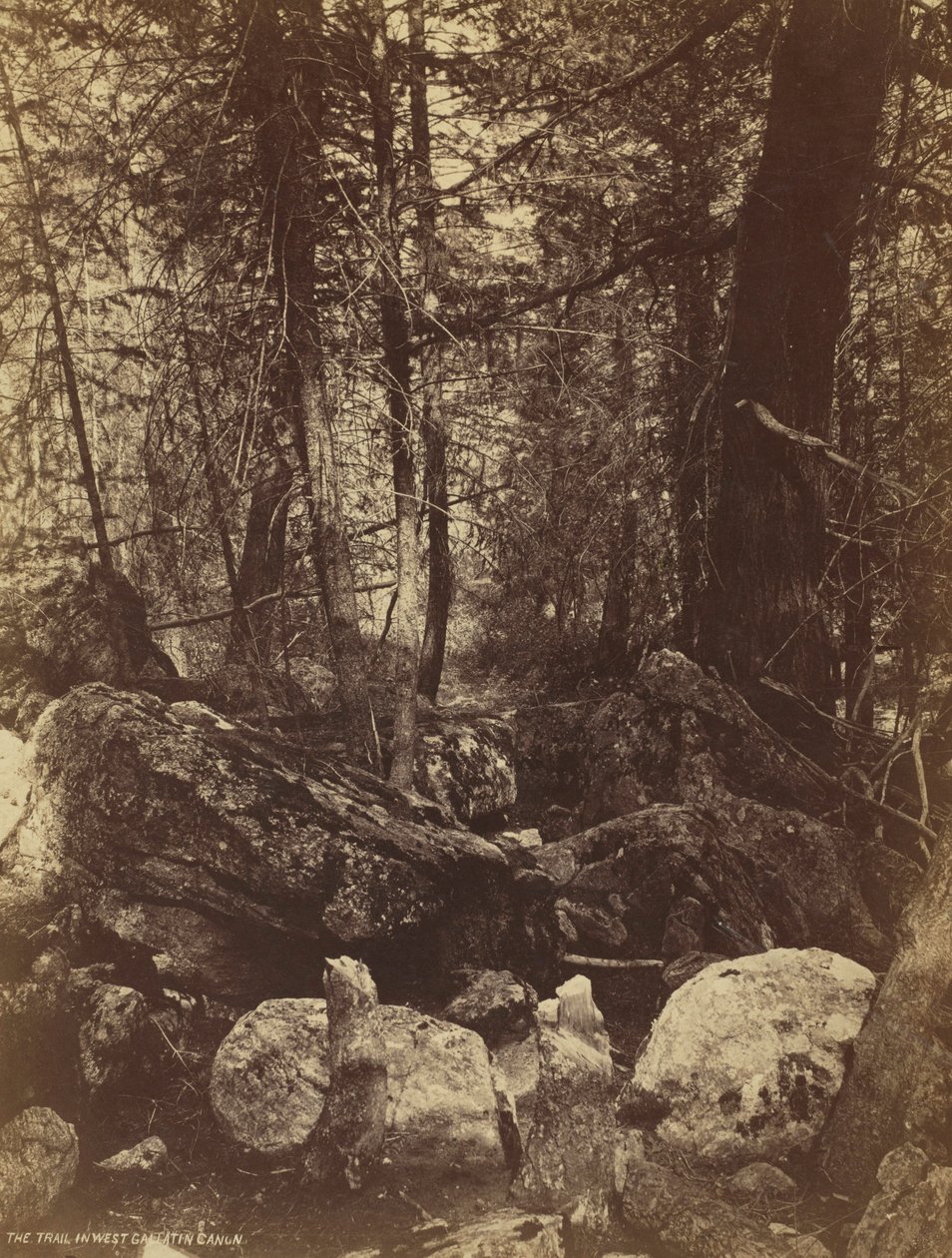 The Trail i West Gallatin Cañon, ca. 1870-talet. av William Henry Jackson