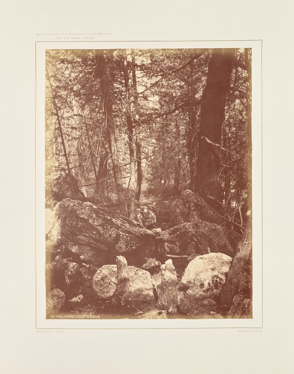 Stigen i skogen, Gallatin Cañon av William Henry Jackson