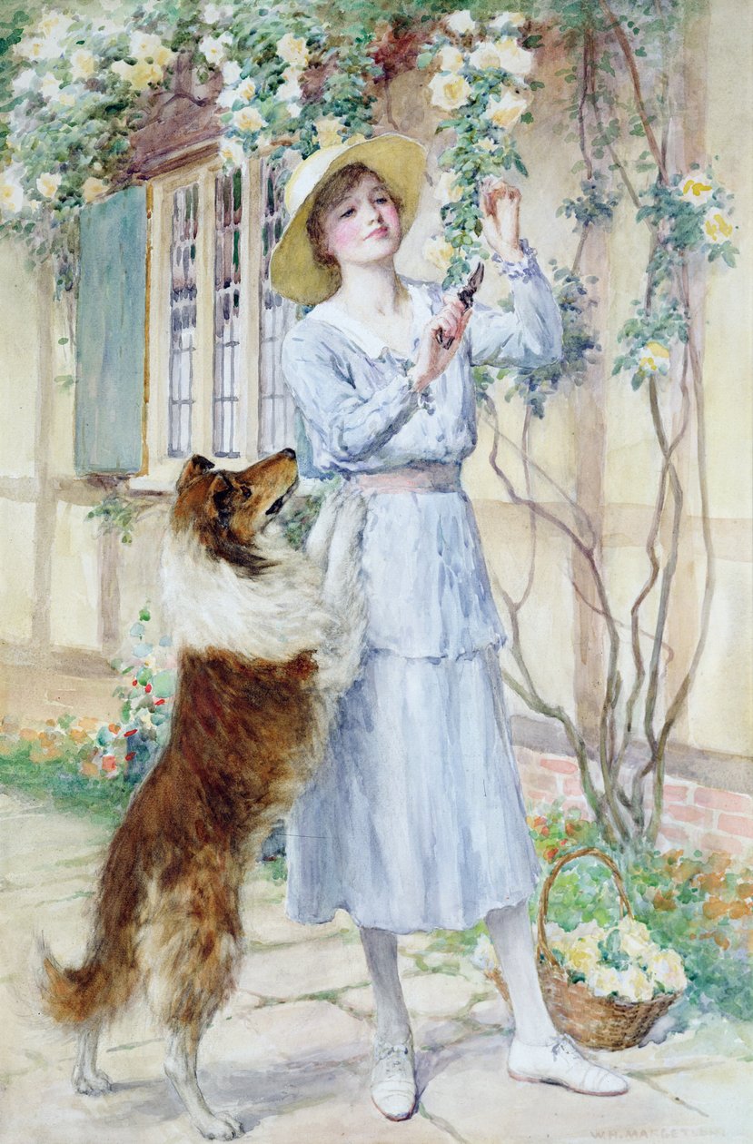 Plocka rosor (akvarell på papper) av William Henry Margetson