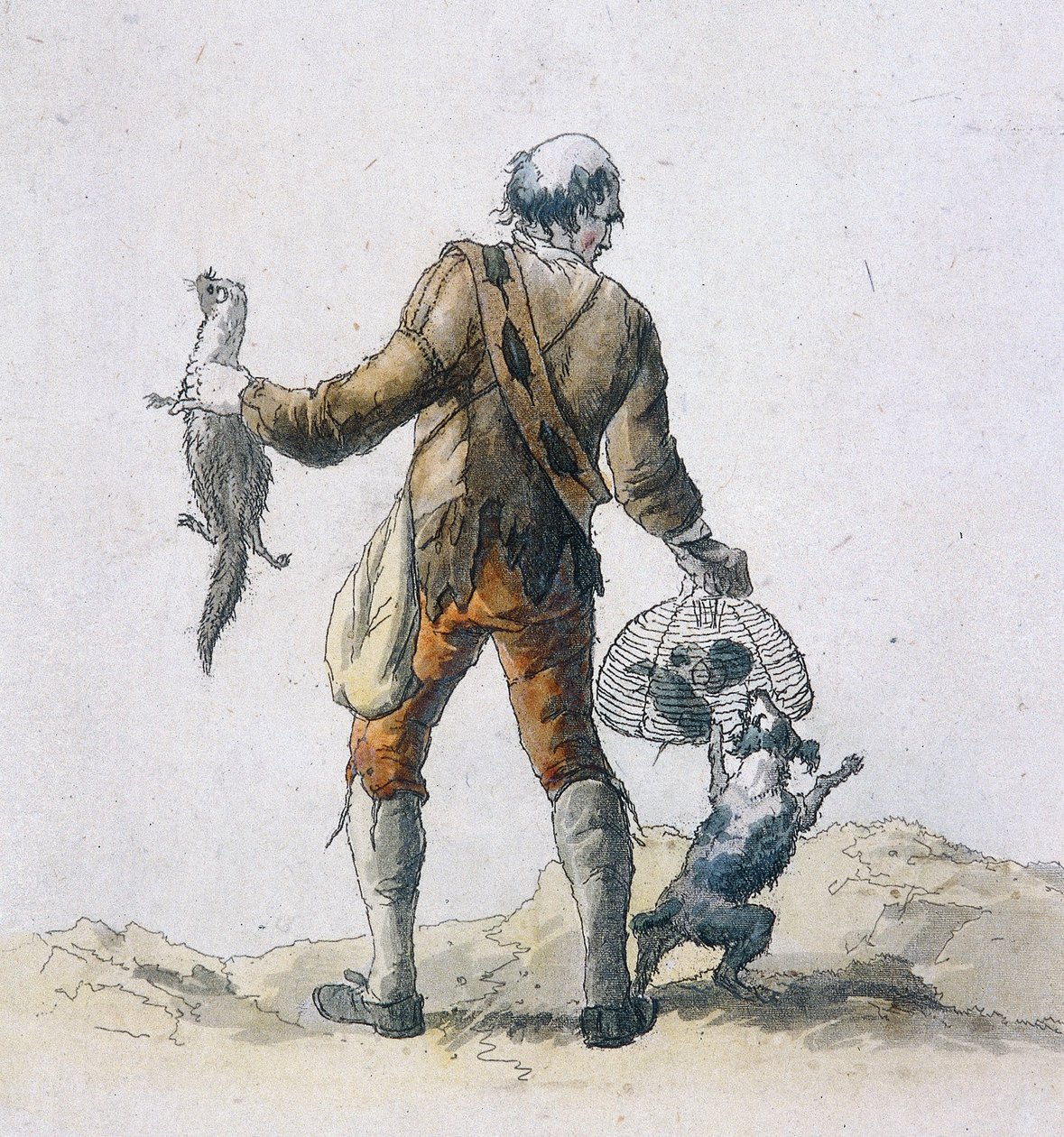En råttfångare, Provincial Characters, 1804 av William Henry Pyne