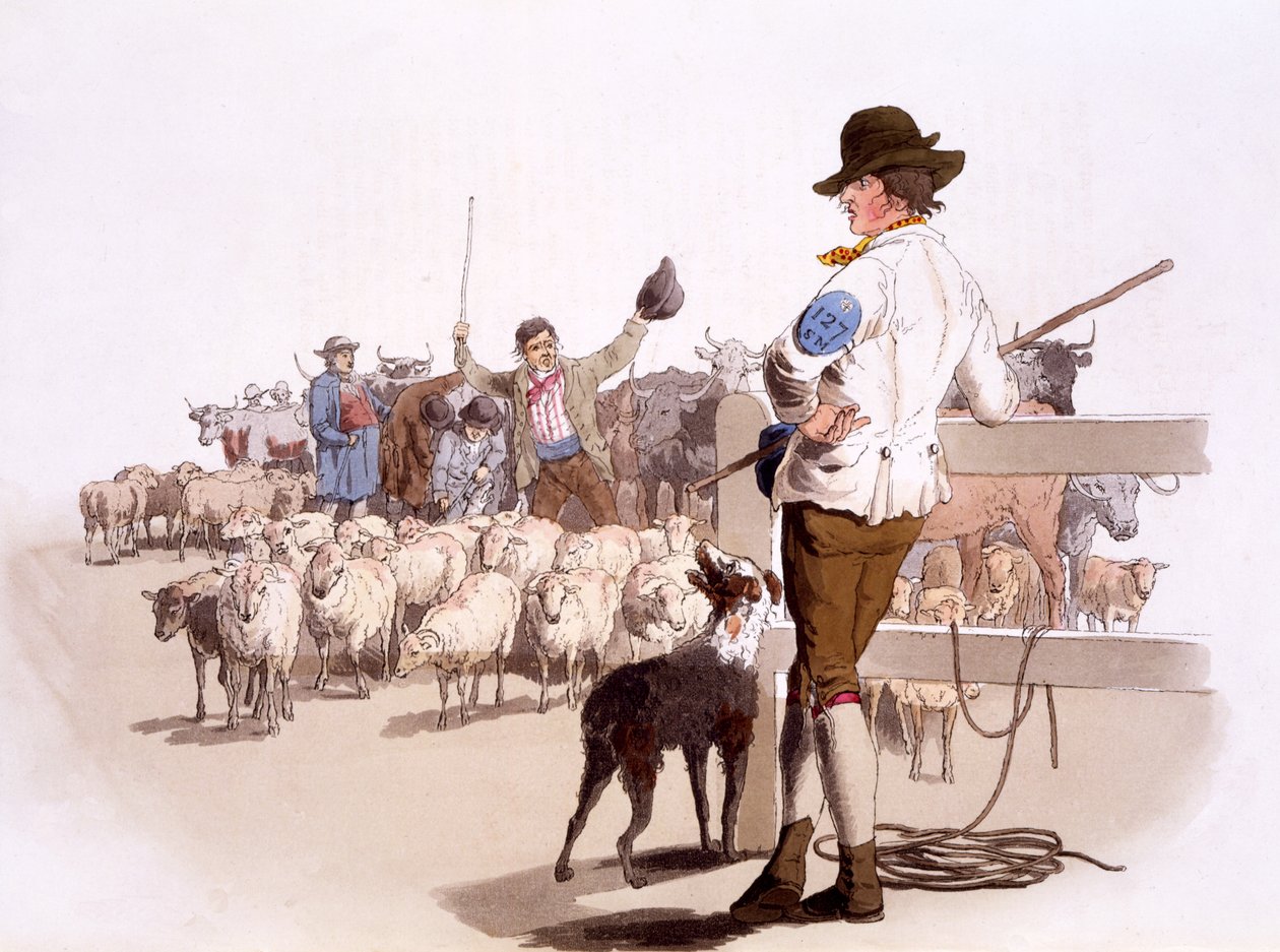 Herdar av får och nötkreatur, från The Costumes of Great Britain, pub. Av Henry Miller, 1805 (handfärgat tryck) av William Henry Pyne