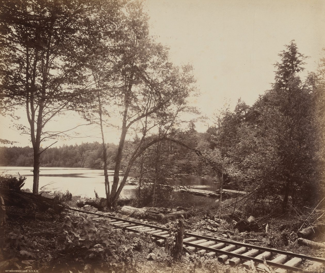 Beechwood Lake,ca. 1895 (foto) av William Herman Rau