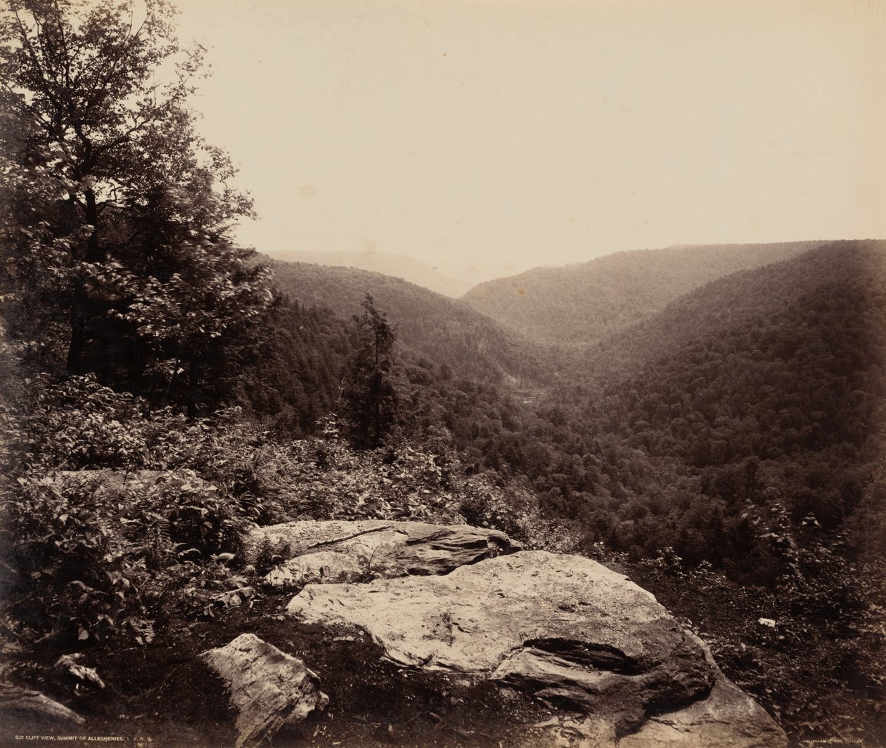 Klipputsikt, toppen av Alleghenies,ca. 1895 (foto) av William Herman Rau