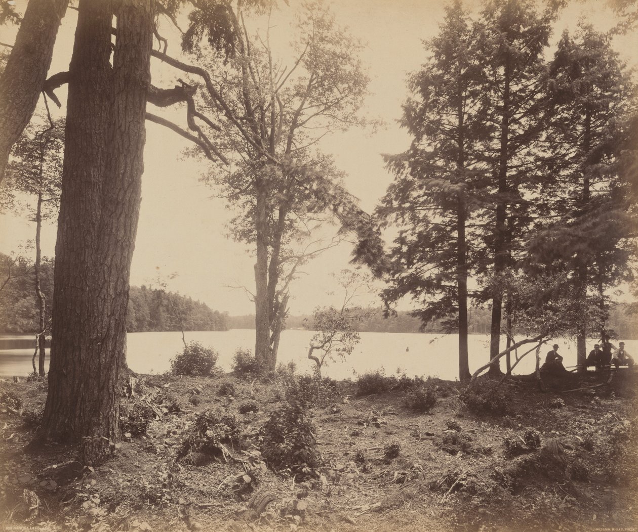 Ganoga Lake,ca 1895 (foto) av William Herman Rau