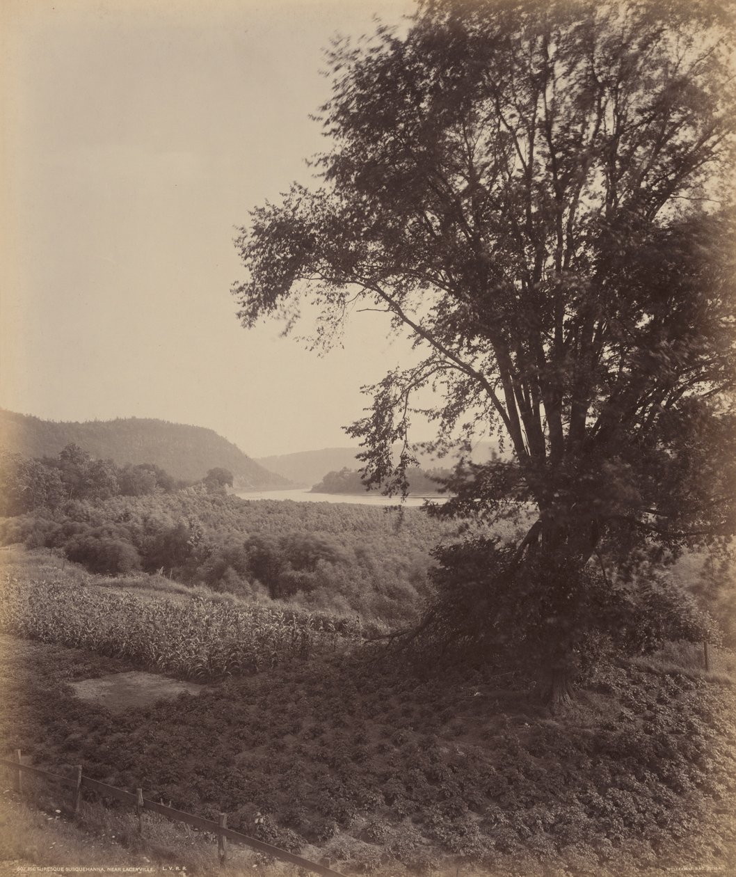 Pittoreska Susquehanna, nära Laceyville, ca 1895 (foto) av William Herman Rau