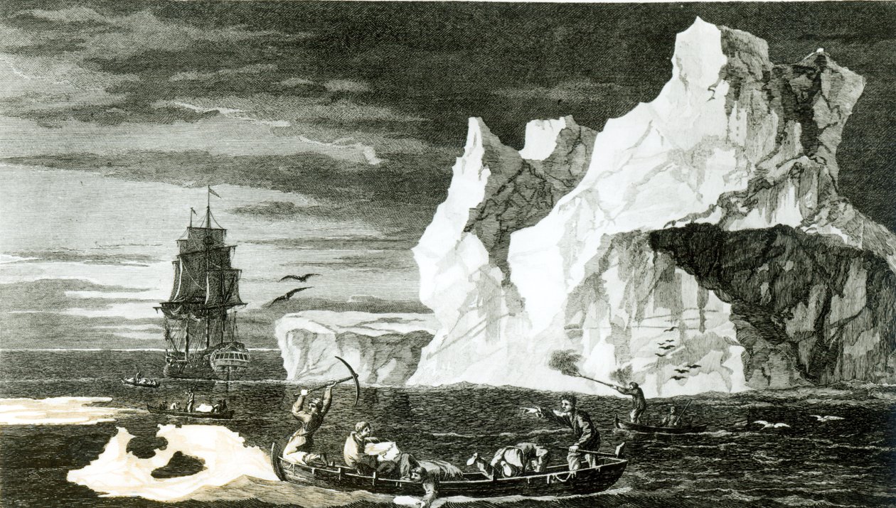 Isöarna den 9 januari 1773, graverade av B. T. Pouney, 31 februari 1777 av William Hodges