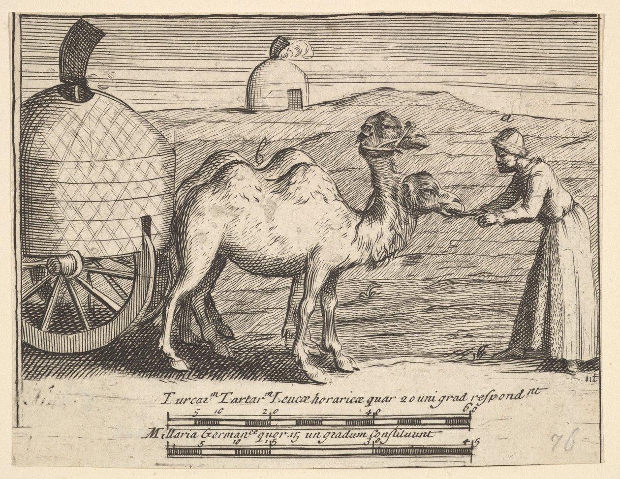 Två dromedärer Aubry de La Mottrayes reser genom Europa, Asien och in i del ..., 1723-24. av William Hogarth