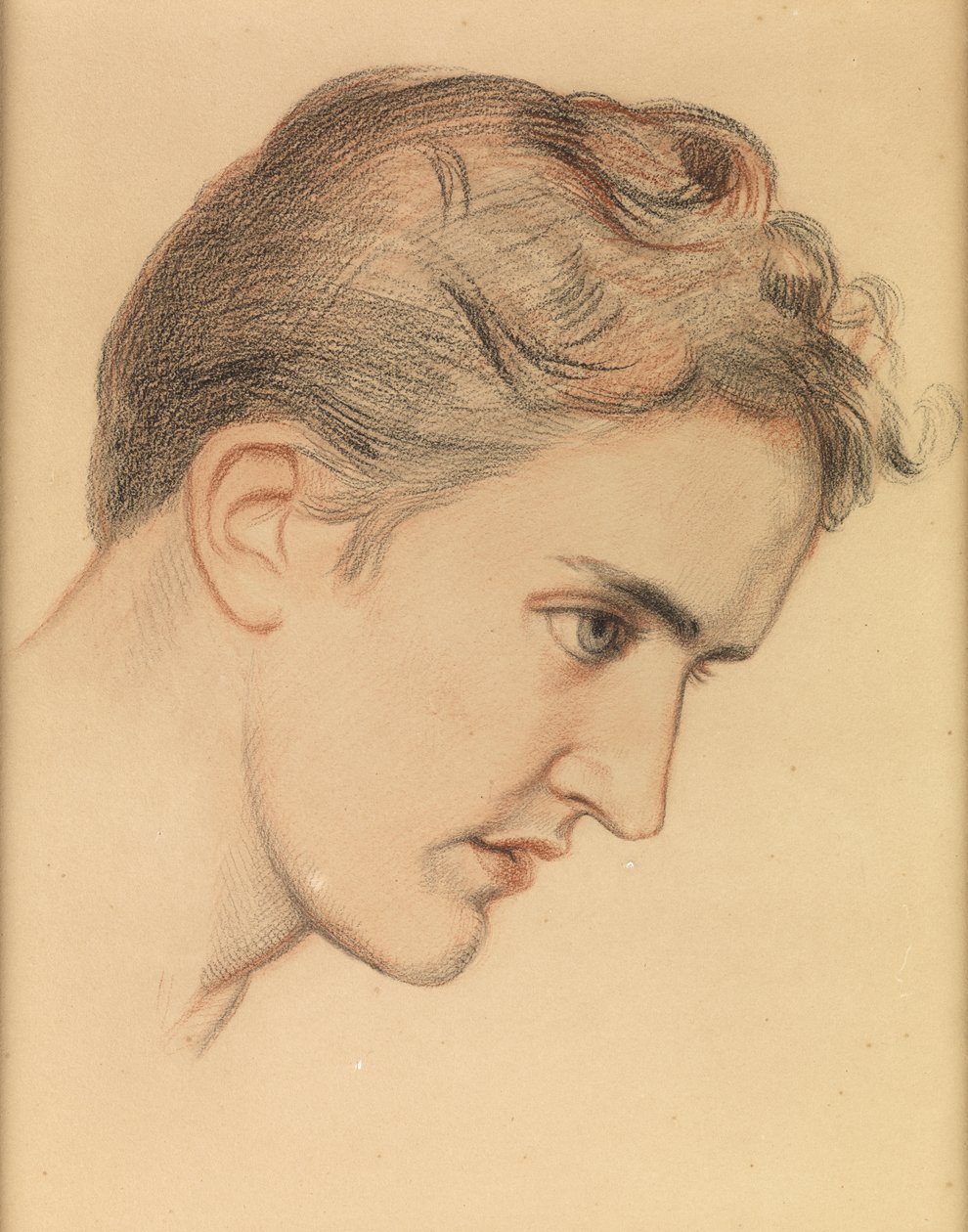 Eugenie Sellers, Studie för 