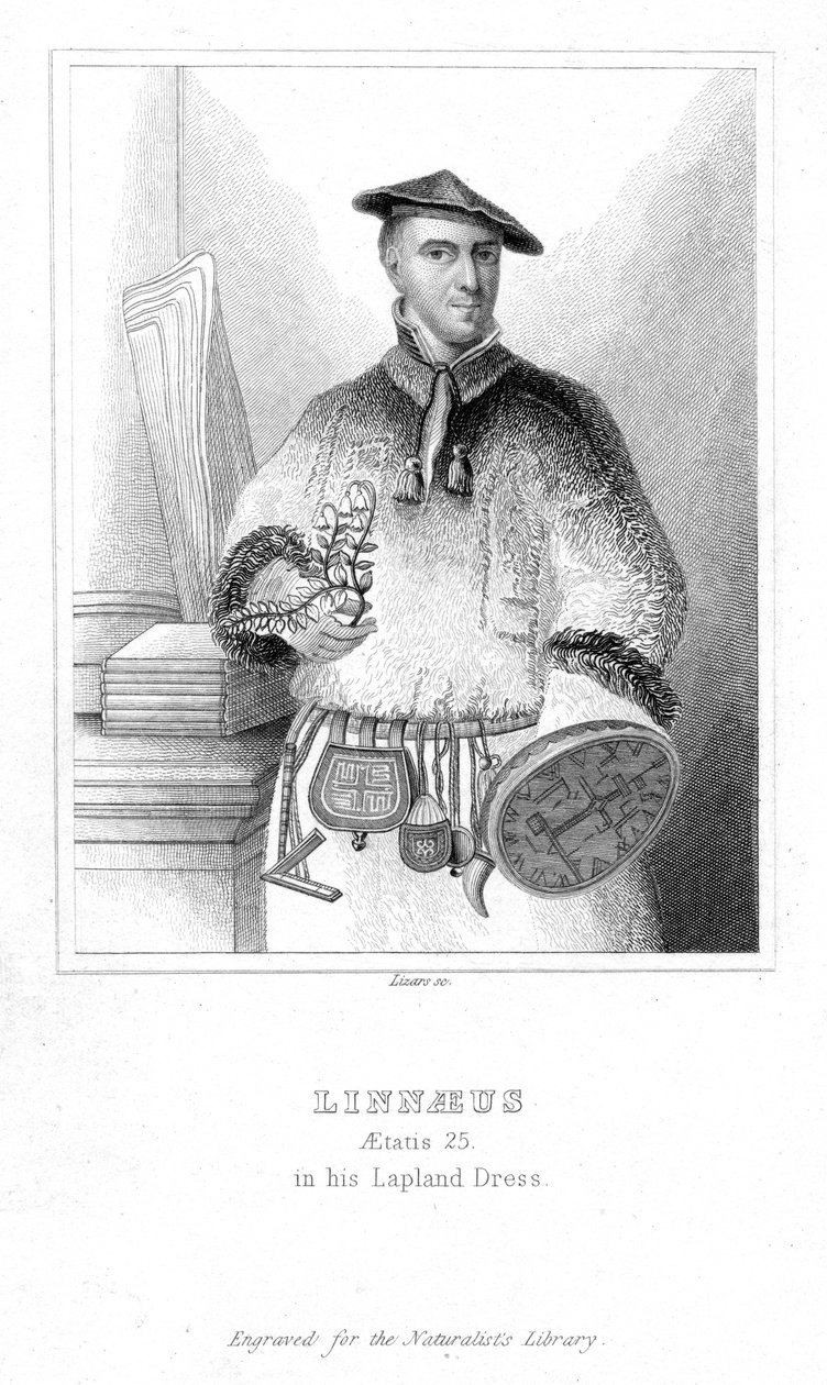 Carolus Linnaeus, svensk naturforskare, 1732 tidigt 1800-tal av William Home Lizars