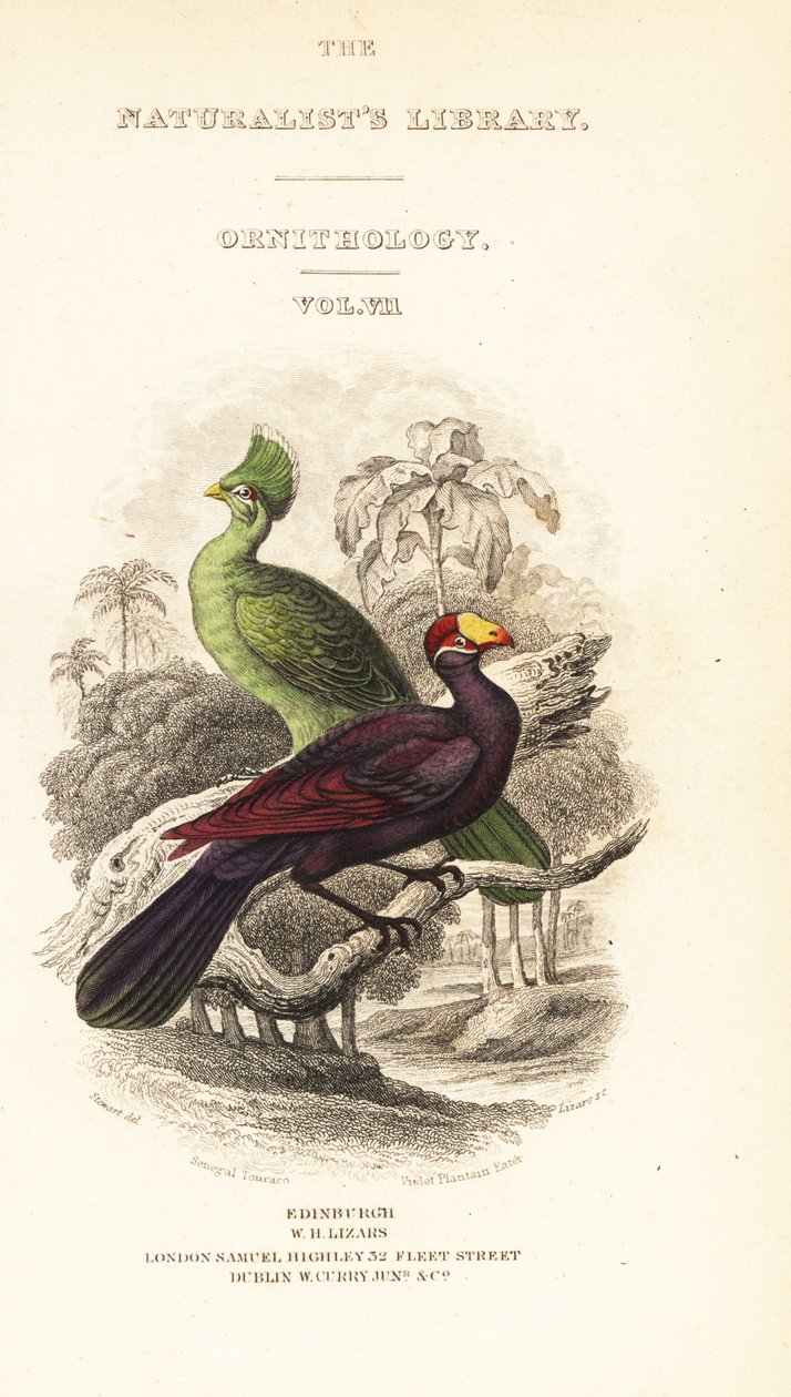 Titelblad med vinjett av Guinea turaco, Tauraco persa buffoni och violet turaco, Musophaga violacea av William Home Lizars