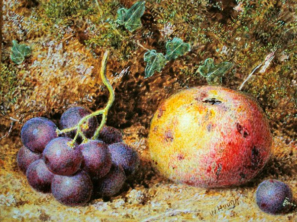 Äpplen och vindruvor (akvarell med kroppsfärg på papper) av William Hough