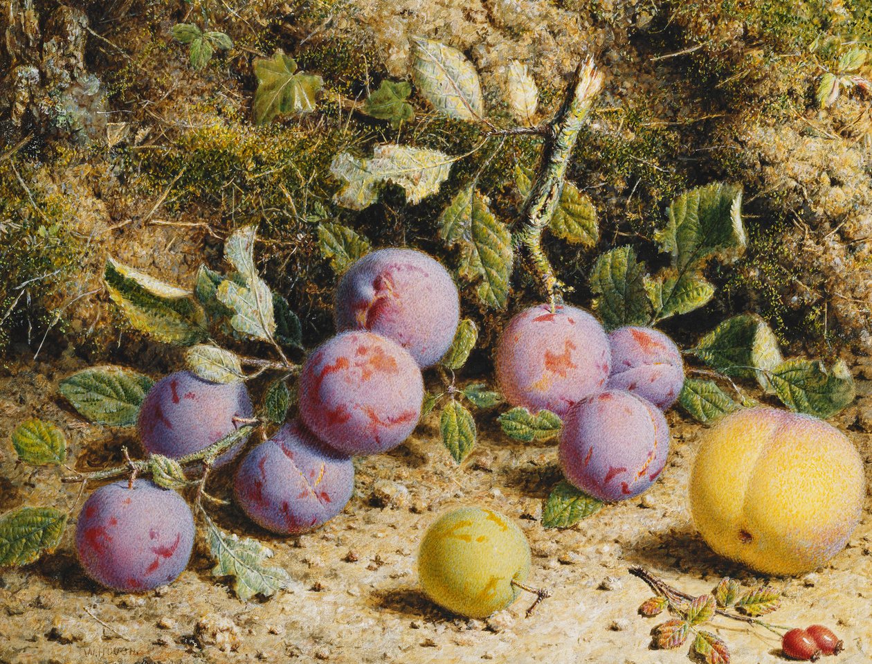 Stilleben med plommon, en persika och nypon, av William Hough