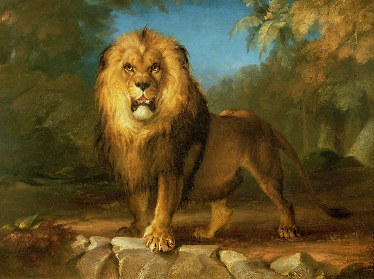 Ett lejon, 1840 av William Huggins