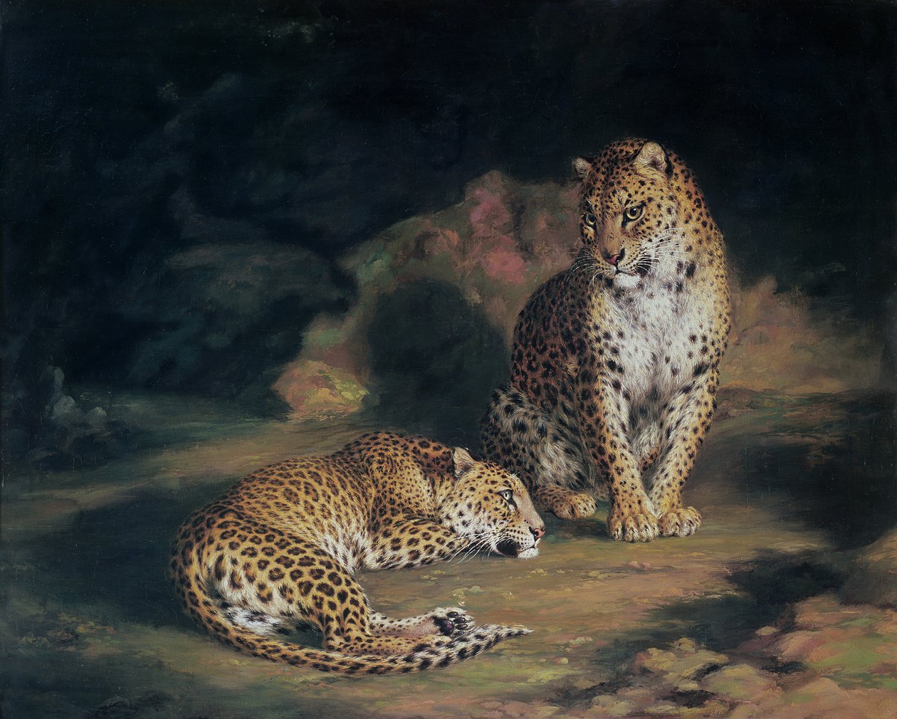 Ett par leoparder, 1845 av William Huggins