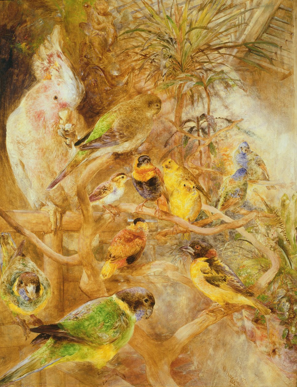 Fågelvikariat, 1871 av William Huggins