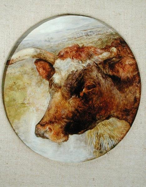 Chef för en Longhorn Cow av William Huggins
