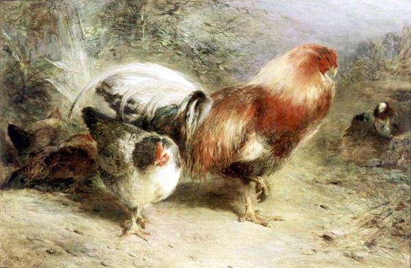 Fjäderfän av William Huggins