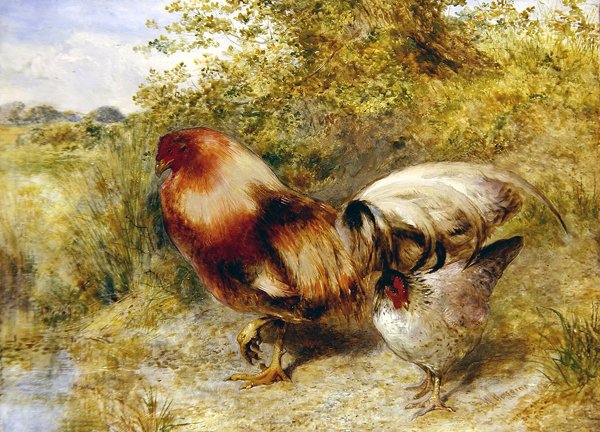 Fjäderfä i ett landskap av William Huggins