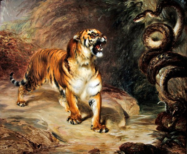 Tiger och pyton av William Huggins