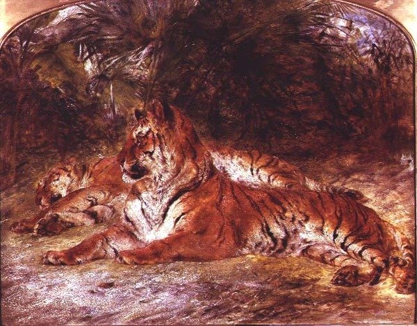 Tigers (olja på tavla) av William Huggins