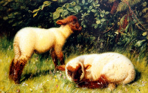 Får, ca 1860 (olja ombord) av William J. Webbe or Webb
