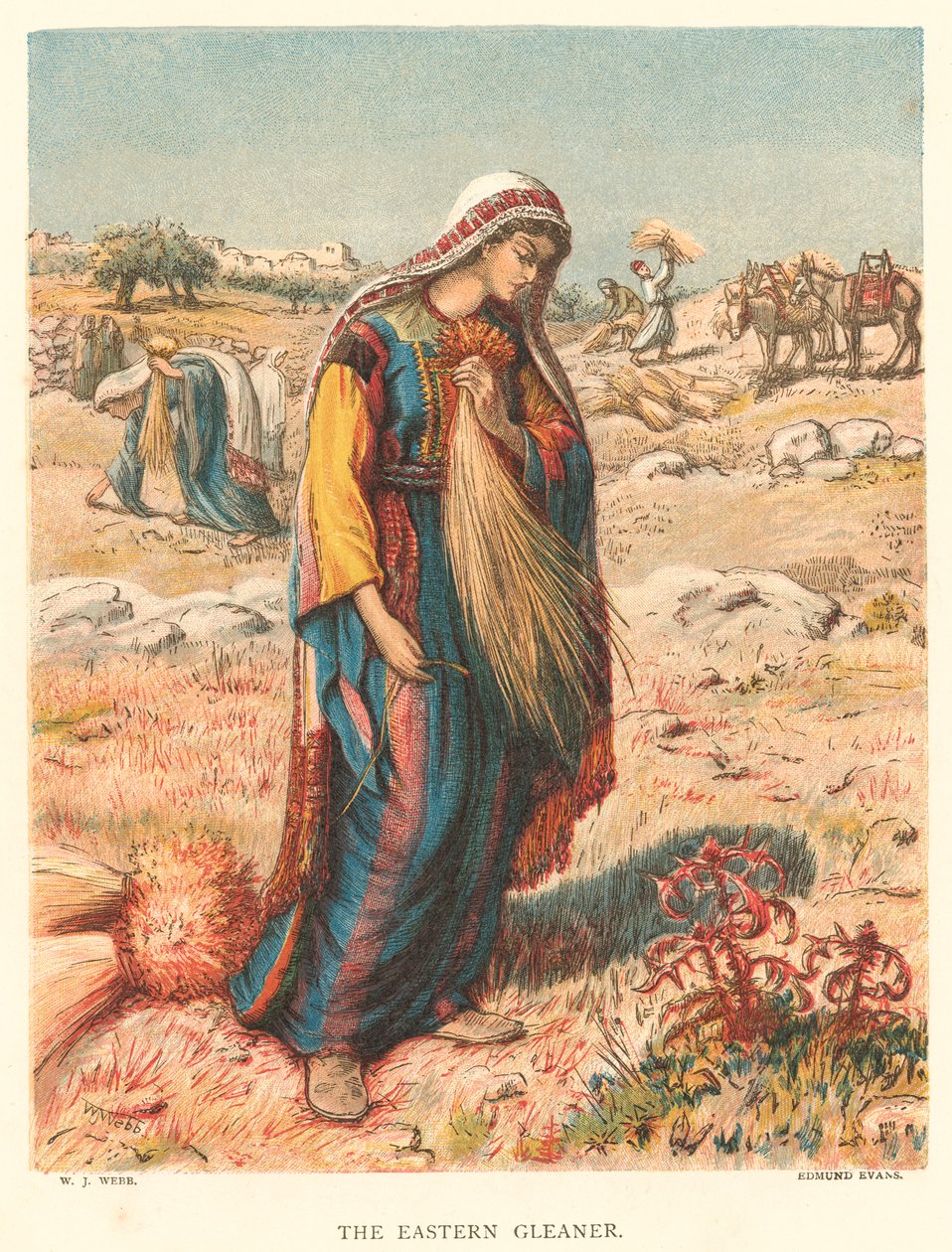 The Eastern Gleaner (gravyr i färg) av William J. Webbe or Webb