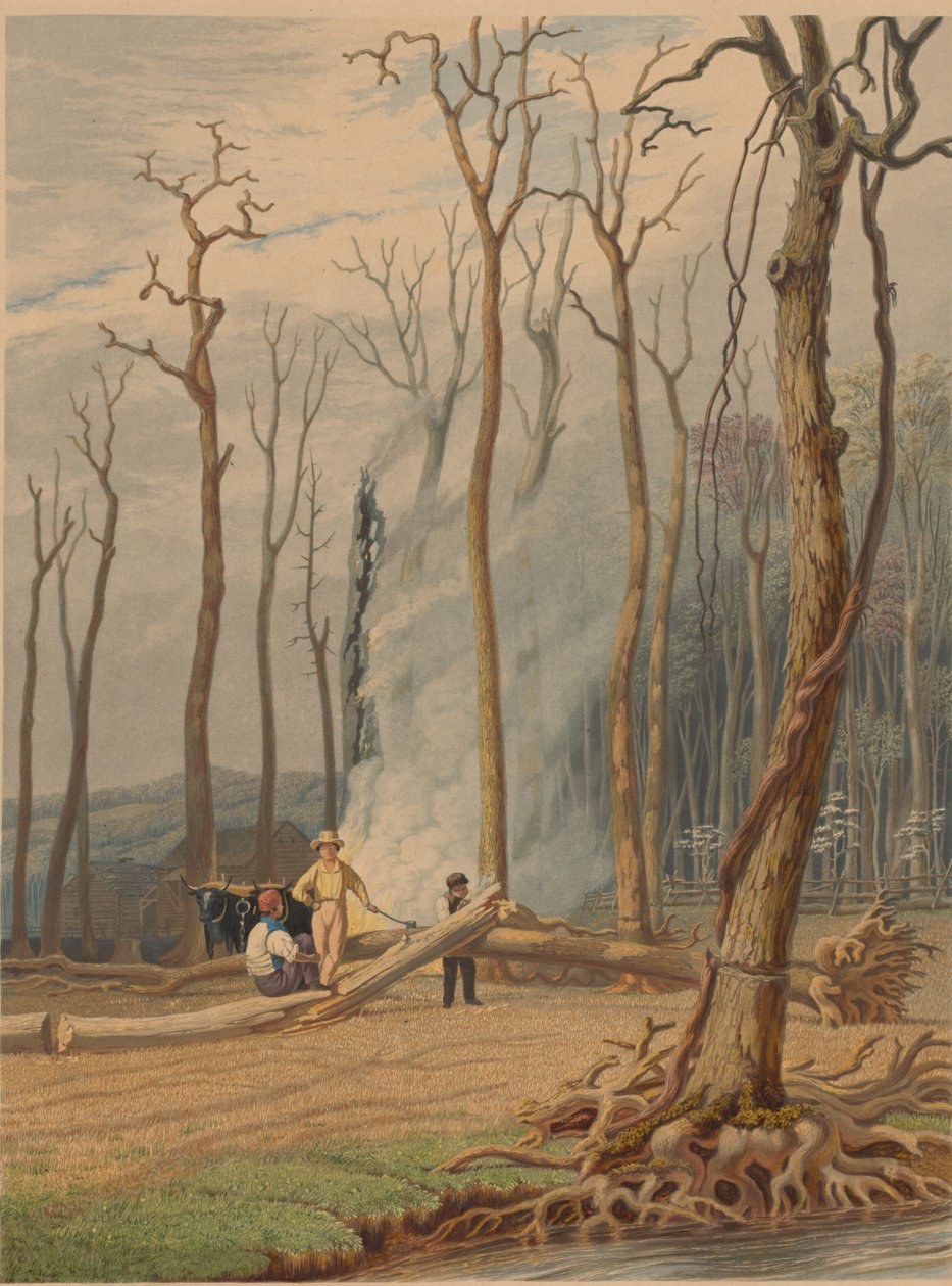 Vår--brinnande fallna träd i en omgjord glänta. Västerländsk scen, 1841. av William James Bennett