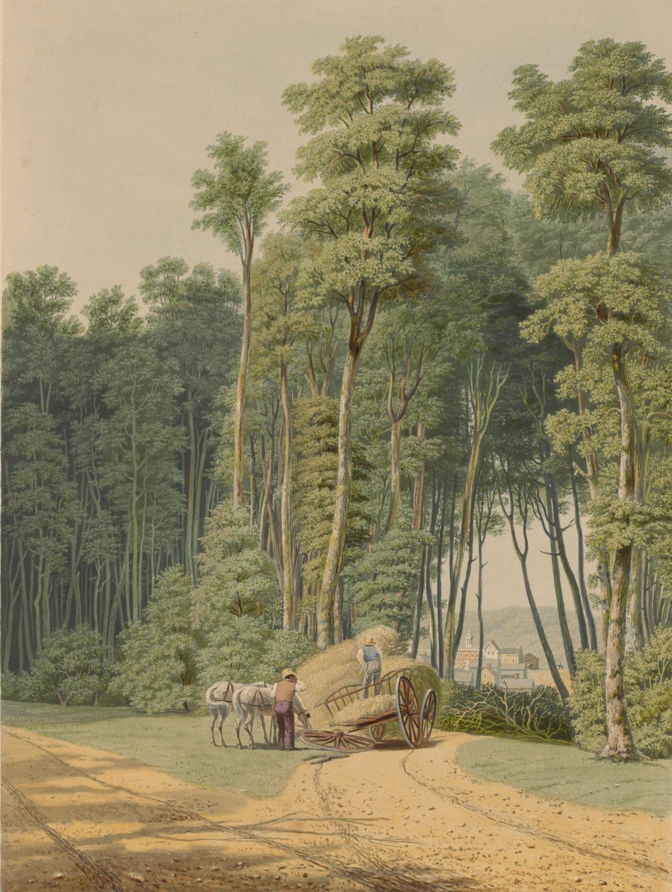swedish av William James Bennett