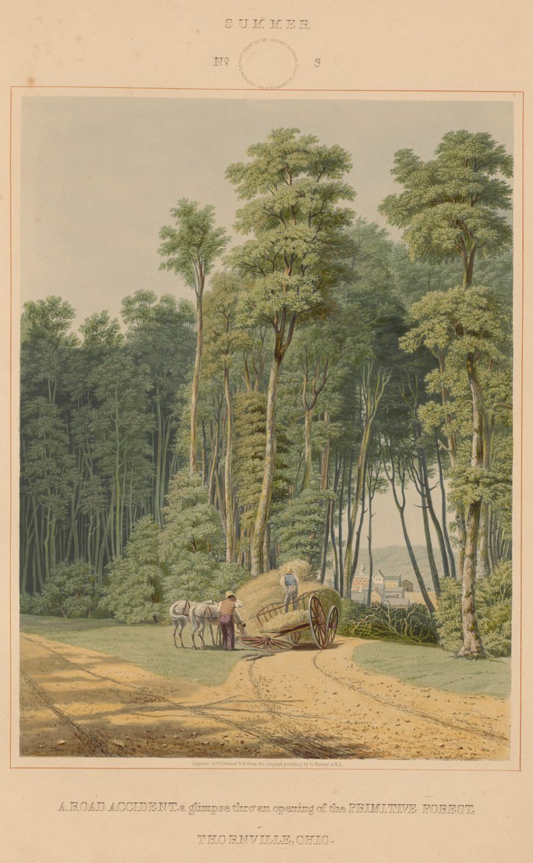 Sommar - en trafikolycka. En glimt genom en öppning av Urskogen. Thornville, Ohio av William James Bennett after George Harvey