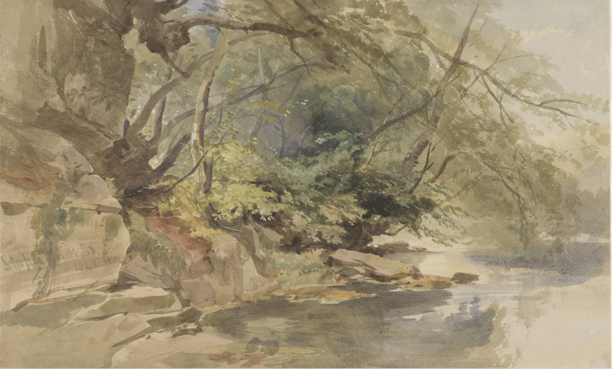 Ansikte i Stapleton Wood, nära Bristol av William James Muller