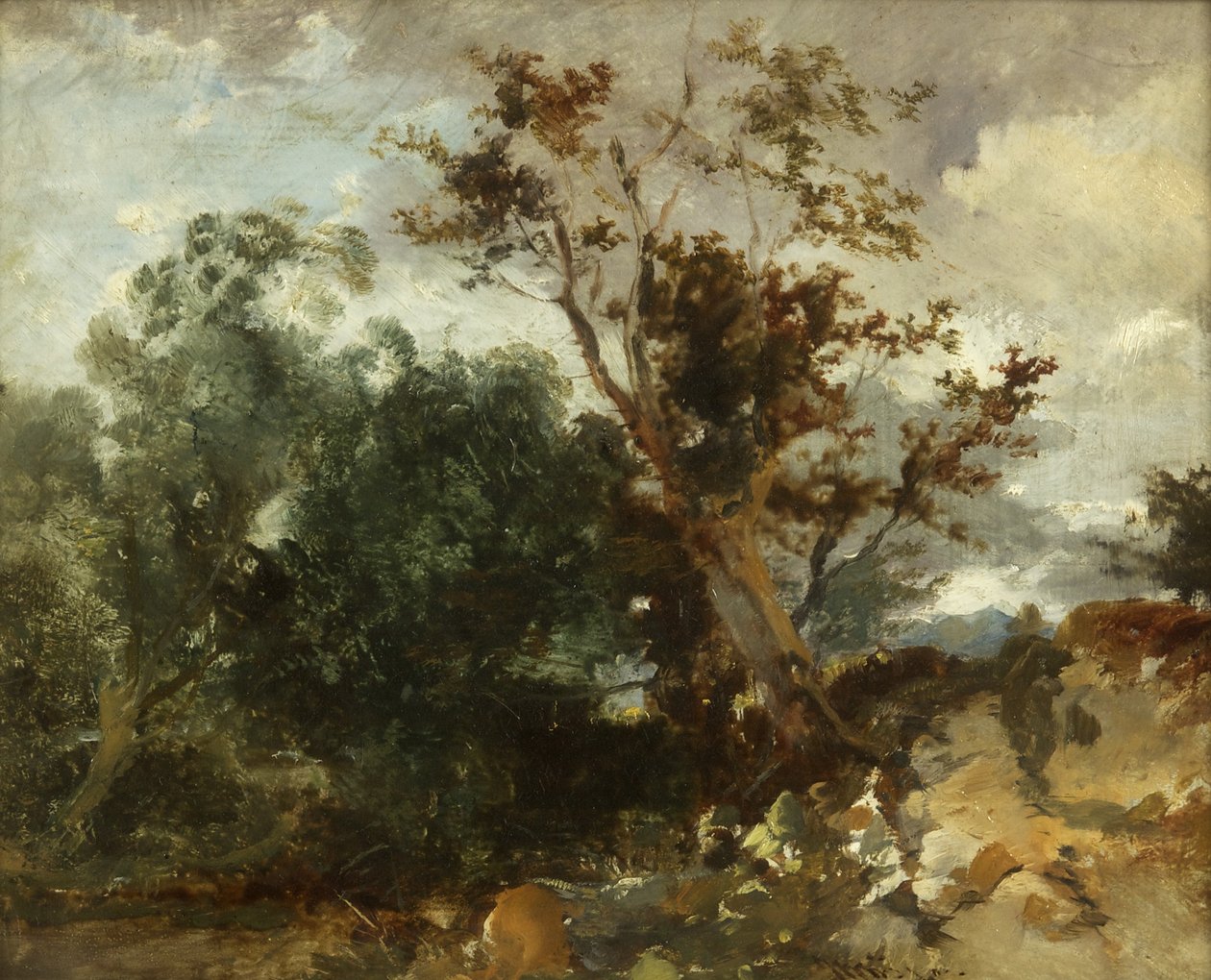 Study of Trees, c.1840 (olja på koppar) av William James Muller