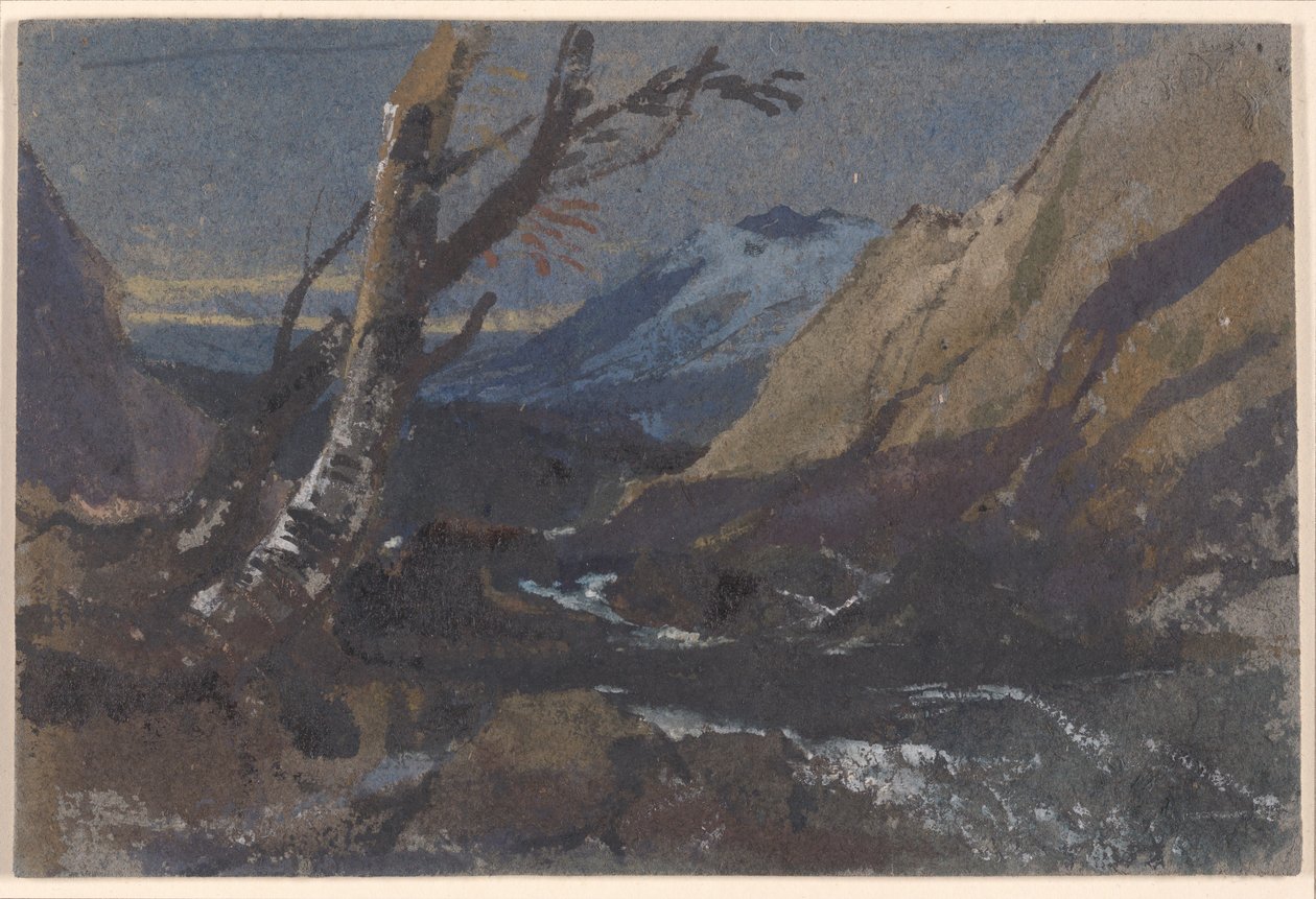 Studie av träd vid en bergsbäck av William James Muller