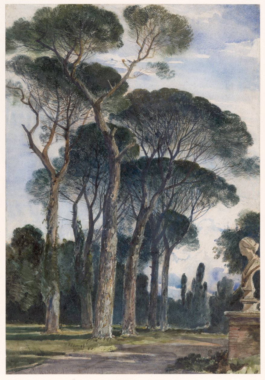 Pinje i Villa Borghese, Rom av William James Muller