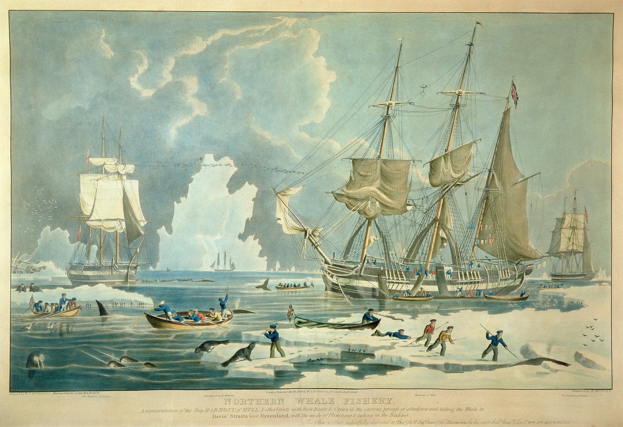 Nordligt valfiske, graverat av E. Duncan av William John (after) Huggins