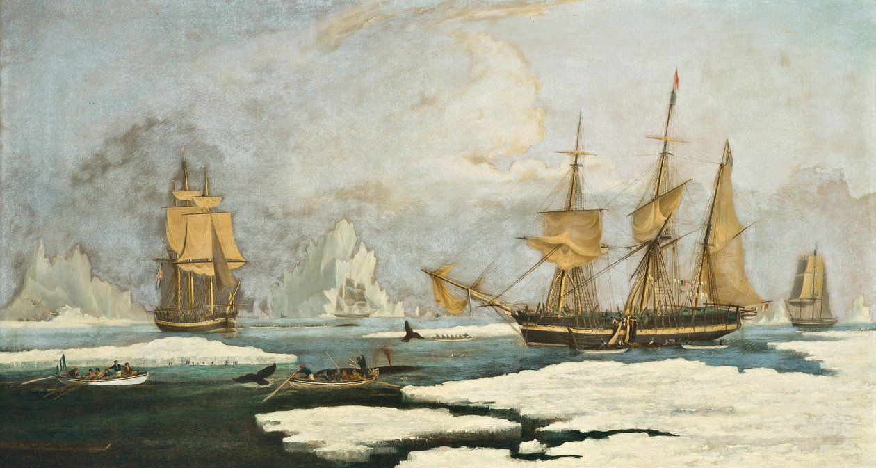 The Northern Whale Fishery: Fartyget Harmony of Hull och andra isbundna valfångare, jagar sälar, narvalar och valar på valfångstmarken vid Davissundet utanför Grönland av William John Huggins