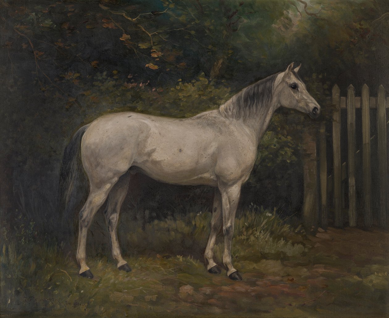 Pickles: en basutoponny, ca 1904 (olja på duk) av William Josiah Redworth