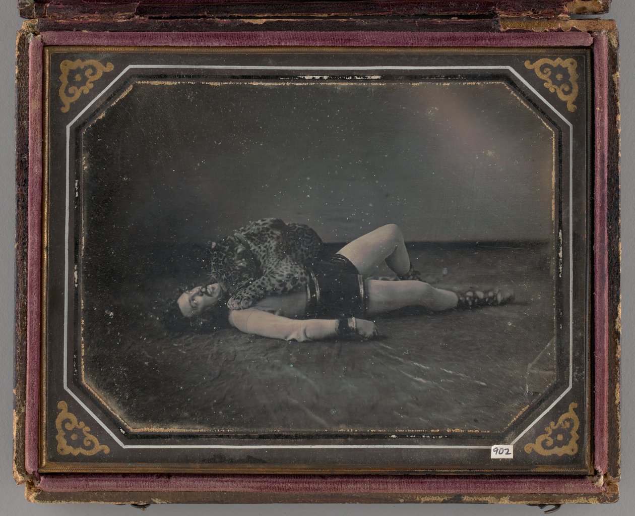 Untitled Portrait of Wild Animal Tamer Jacob Driesbach med Jaguar, 1850 av William Langenheim