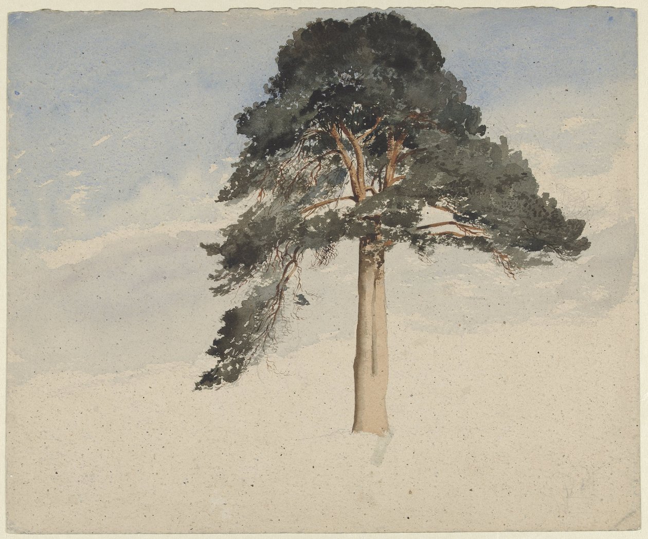 Skotsk tall av William Leighton Leitch