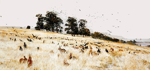 A Rookery, ca 1889 (olja på duk) av William Lionel Wyllie