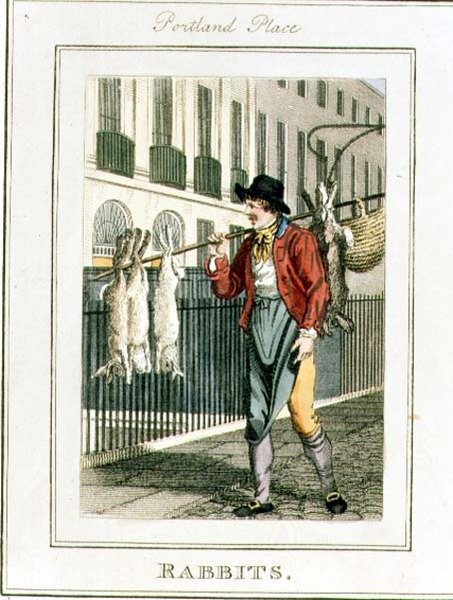 Rabbits, Portland Place, från "Cries of London", pub. av Richard Phillips (1778-1851) 1804 (gravyr) av William Marshall Craig