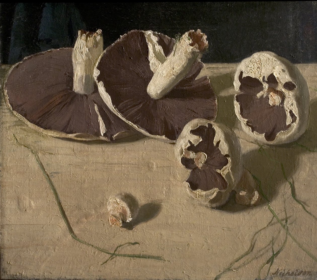 Svampar av William Nicholson