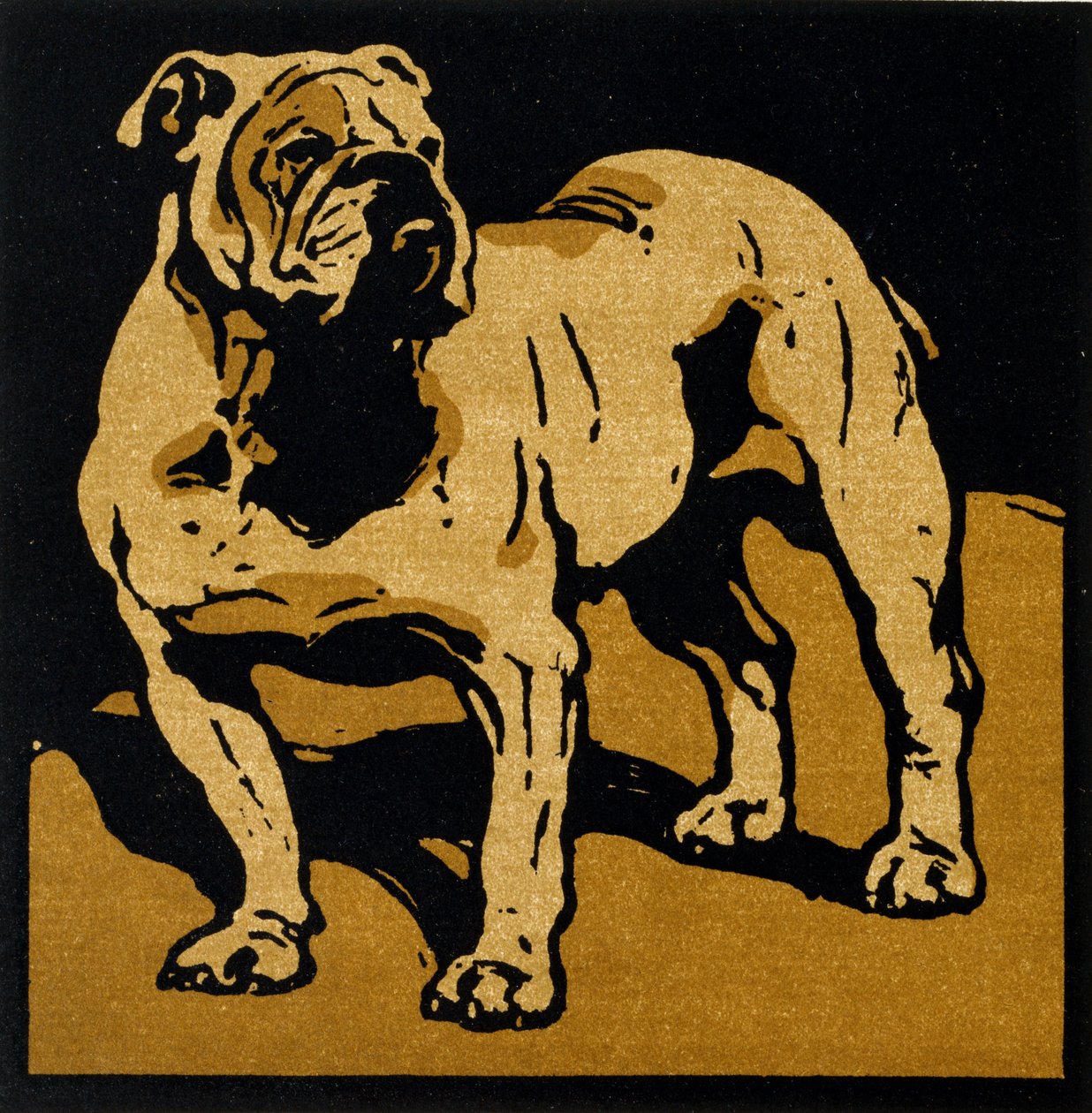 The British Bull-Dog, från 